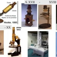 En que año se invento el microscopio y quién fue su creador
